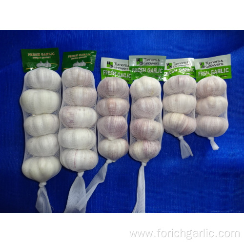 Hot Sale New Crop Garlic